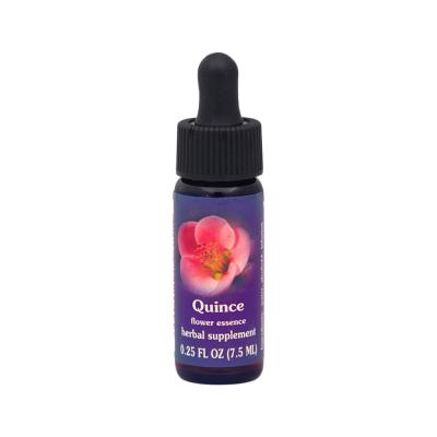 FES Organic Quintessentials Flower Essence Quince 7.5ml